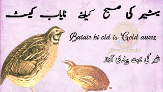 Batair ki sobha kiliye old is gold awaz 2024quail soundبٹیر کی آوازbatair ki awazbater ki awaaz [upl. by Lihcox964]