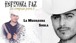 Espinoza Paz  La Mushasha Shula Las Compuse Para Ti [upl. by Donaghue462]