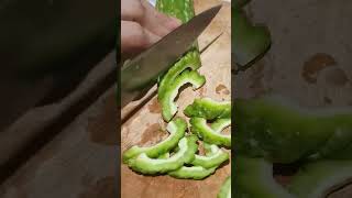 asmr SLICING MY FAVORITE VEGGIE slicingbittergourd ampalaya bittermelon satisfying viralvideo [upl. by Merlina]