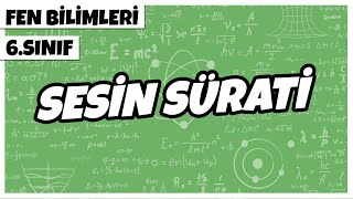 6 Sınıf Fen Bilimleri  Sesin Sürati  2022 [upl. by Nwavahs]