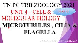 TN PG TRB ZOOLOGY MICROTUBULES  CILIA amp FLAGELLA IN BIOLOGY TAMIL BY SASIKALA [upl. by Lattonia]