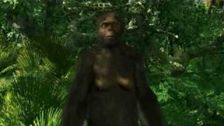 Discovering Ardi  Ardipithecus CG [upl. by Ilrebma]