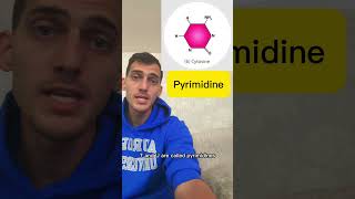 AP Biology topic 16 in one minute apbiology apbio biologycourse biology [upl. by Onivla882]