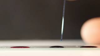 Capillary Action Demonstration [upl. by Ahsiekrats]