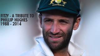 Fitzy  A tribute to Phillip Hughes [upl. by Ranger]