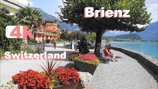 🇨🇭 SWITZERLAND Brienz HIKING GRINDELWALD ZERMATT SPIEZ THUN OBERHOFEN 4 K 2021 🇨🇭 [upl. by Jeb112]