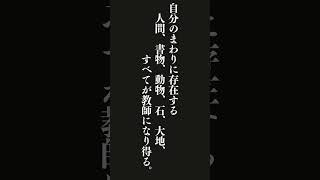 知的な人にとっては、どこにいてもそこが最高の学校である。自分のまわりに存在する人間、書物、動物、石、大地、すべてが教師になり得る。・・・Ｐ．Ｇ．ハマトン 名言 [upl. by Naimad]