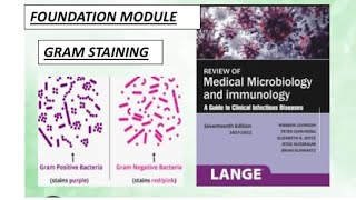 Foundation microbiology  Gram staining  bacteria gramstaining microbiology [upl. by Lavern6]