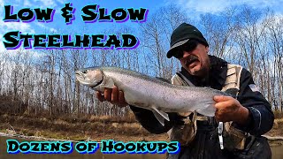 30 hookups Winter Steelhead Fishing Low amp Slow [upl. by Jessi]