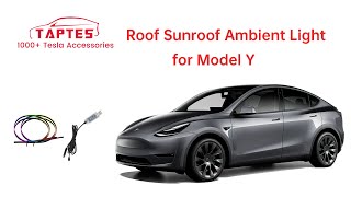 TAPTES® Car Roof Sunroof Ambient Light for Tesla Model Y Model 3 [upl. by Nevs]