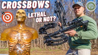 How Lethal Is A Crossbow  🏹 [upl. by Bink]