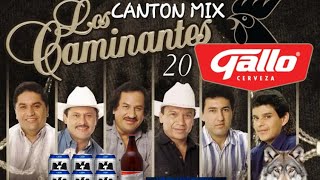 CANTON MIX CAMINANTES 2024 DJ FERNANDO [upl. by Yanat]