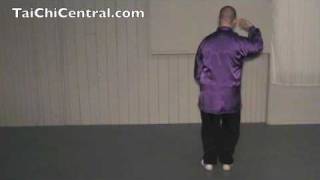 24 Form Tai Chi  Lesson 14  Cloud Hands [upl. by Atoiganap344]