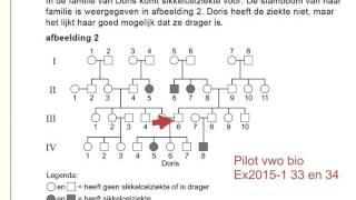 vwo biologie examen 20151 uitleg 33 en 34 stamboom [upl. by Christa]