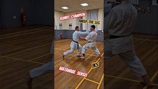 Watanabe Sensei  Kumite Technique 👊 shotokan karate jks kumite karatecombat sensei champion [upl. by Olemrac]