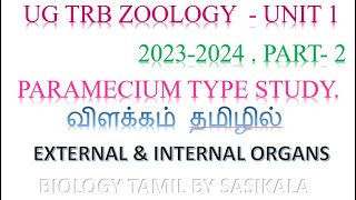 Ugtrb zoology 2023 unit 1  part 2 phylum Protozoa Type Study  Paramecium external amp Internal parts [upl. by Inaffyt]