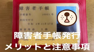 『障害者手帳』手帳が発行されたので、障害者控除のメリットと注意点についてお話しました 40代 難病 膠原病 障害者手帳 [upl. by Ylac]