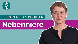 Nebenniere 3 Fragen 3 Antworten  Asklepios [upl. by Alita]