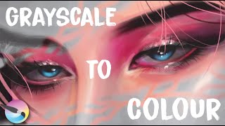 Grayscale To Colour Beginner Guides 101  Alluring Gaze PARK JIMIN Krita Painting [upl. by Enovaj159]