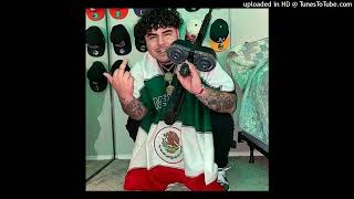 FREE That Mexican OT Type Beat  quotSo You Wanna Be A Gangstaquot [upl. by Asetal505]