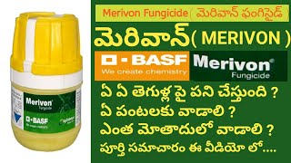 BASF merivon fungicide  merivon Fungicide basf  merivon fungicide complete details  telugu  basf [upl. by Frankie159]