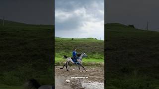 Hippotherapy Иппотерапия hippotherapy horseriding horsevideo horseride sporthorses [upl. by Kreiker]