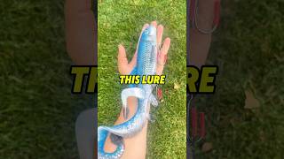 20 INCH FISHING LURE  MONSTER FISH 😱😱😱 fishing shorts outdoors [upl. by Aihsik]