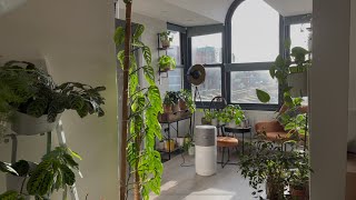 House plant tour premoving house [upl. by Reeves]