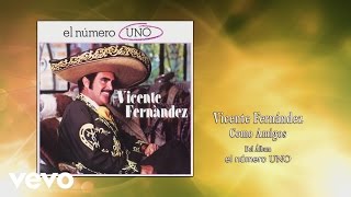 Vicente Fernández  Como Amigos Cover Audio [upl. by Reamonn344]