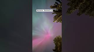 Aurora Borealis right in the front yard auroraborealis [upl. by Nnyliak]