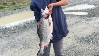 Salmon fishing at tekapo canal [upl. by Ray]