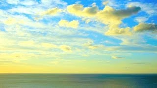 Relaxing Instrumental Music soft amp calm background music  relaxdaily N°080 [upl. by Trin]