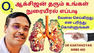 நுரையீரலை பலப்படுத்த என்ன செய்யலாம்  How lungs work and clean itself 123 [upl. by Florentia]