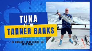 Tuna at the Tanner Banks  El Dorado  Long Beach CA September 2024 [upl. by Airlia]