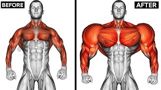 UPPER BODY WORKOUT WITH DUMBBELLS Shoulderforearmschesttricepsbackbiceps [upl. by Nilorac]