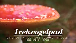 Trekvogelpad Otterlo  NP de Hoge Veluwe amp het Kröller Müller Museum [upl. by Llenaj]