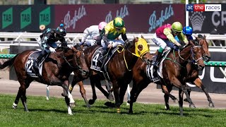 Melbourne Cup 2024 Replay  901 shot Knights Choice wins it in a photo finish under Robbie Dolan [upl. by Mckee]