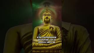 Lascia andare lo stress con la meditazione guidata mindfulness [upl. by Ylrak]