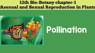 12th biobotany chapter1 Asexual And Sexual Reproduction In Plants POLLINATION 12th SCERT [upl. by Coh11]