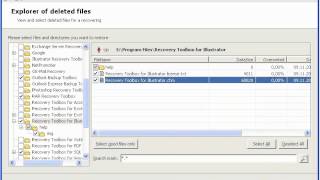 Recovery Toolbox File Undelete Free [upl. by Eicram]