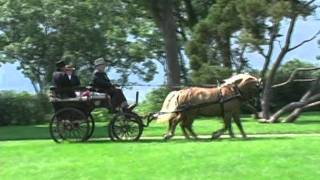 Horse amp Carriage at Boscobel Restoration Garrison NY [upl. by Dayna]