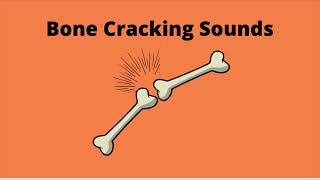 Bone Cracking Sounds 1 hour [upl. by Olra]