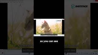 Free amp Easy Way to Remove Watermarks from Your Videos [upl. by Enyamrahs]