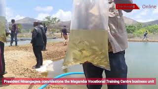 President Mnangagwa commissions the Magamba Vocational Training Centre youth business unit [upl. by Iaria485]