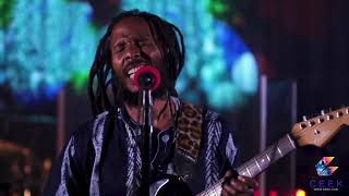 Ziggy Marley  Love is My Religion  2020 Live Stream [upl. by Bowe824]