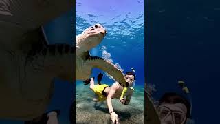 SCORKL 20  Electric snorkeling explore foryou underwater swimming holiday vacation [upl. by Etnoval]