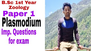 Plasmodium vivax  impotant questions for examBSc 1st year zoology paper 1 [upl. by Retlaw]