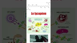 Le Lycopène  la molécule curatrice de la tomate et du pamplemousse  science shorts chemistry [upl. by Iram349]