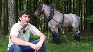 Antoine 17 ans débardeur et amoureux des chevaux de trait [upl. by Benis]