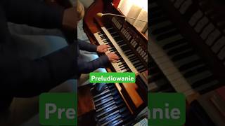 czy poznajesz motyw organista organy orgel improvisation liturgia [upl. by Renick686]